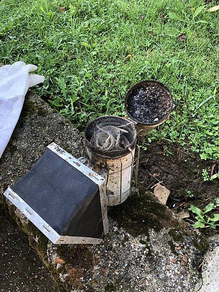 蜂蜜二_3.jpeg 蜂蜜二_3.jpeg