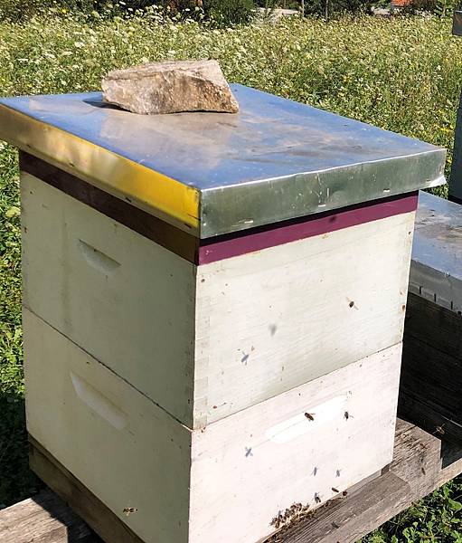 蜂蜜二_5.jpeg 蜂蜜二_5.jpeg