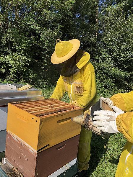 蜂蜜二_9.jpeg 蜂蜜二_9.jpeg