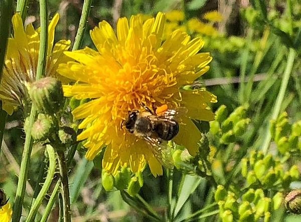 蜂蜜二_13.jpeg 蜂蜜二_13.jpeg