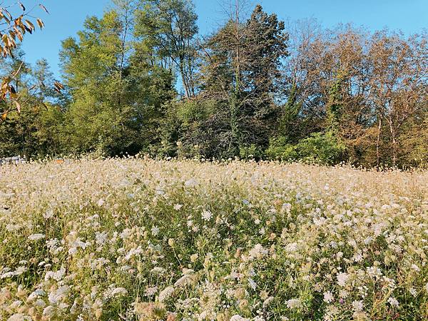 蜂蜜二_14.JPG 蜂蜜二_14.JPG