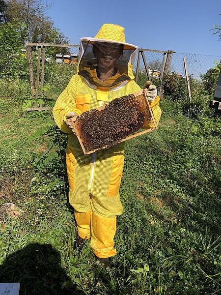 蜂蜜二_17.jpeg 蜂蜜二_17.jpeg