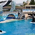 Shamu Show