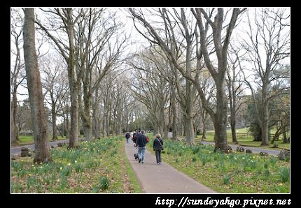 康維爾公園