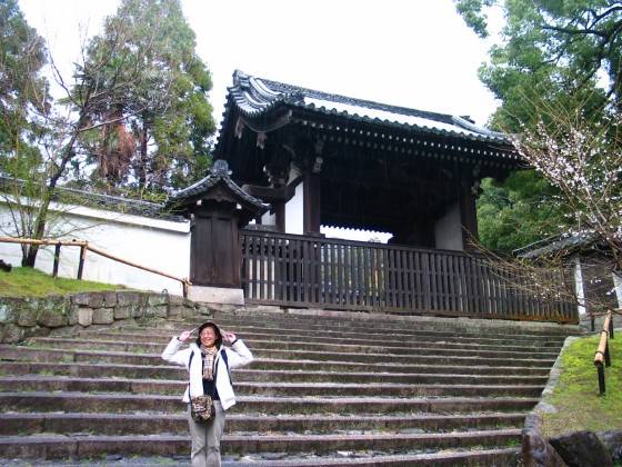 前往東大寺途經不知名的寺廟