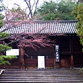 前往東大寺途經不知名的寺廟