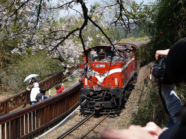 火車過花洞1.JPG