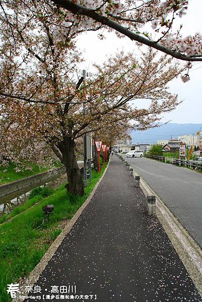 高田川(1004)