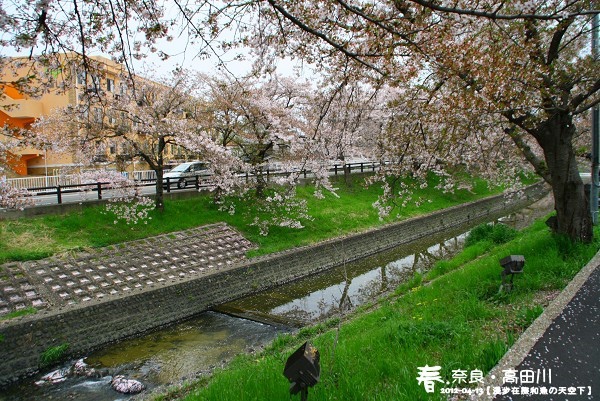 高田川(1005)