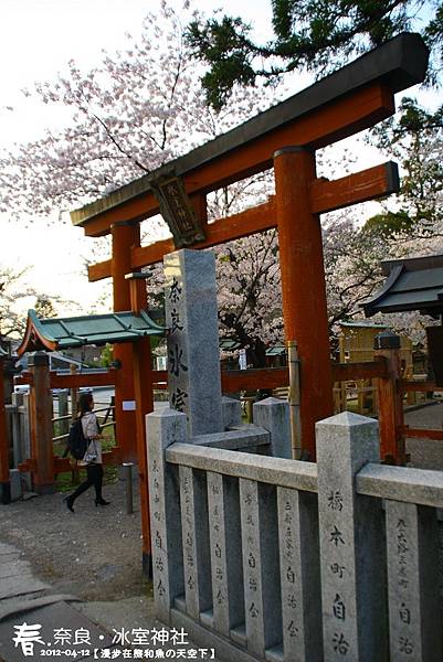 冰室神社(1003)