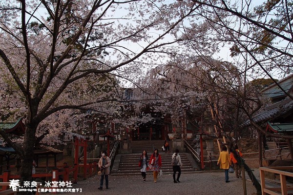 冰室神社(1012)