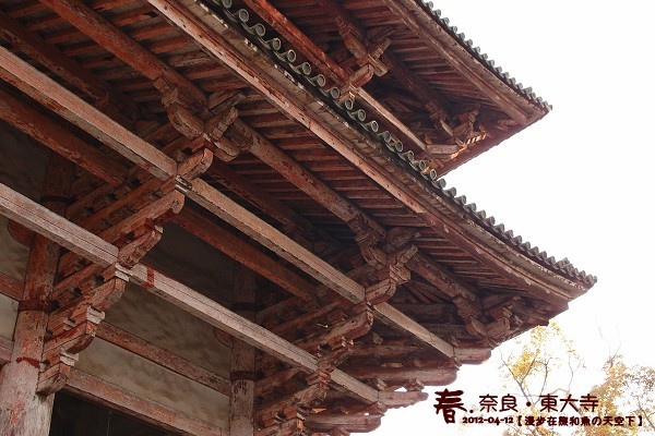 東大寺(1055)