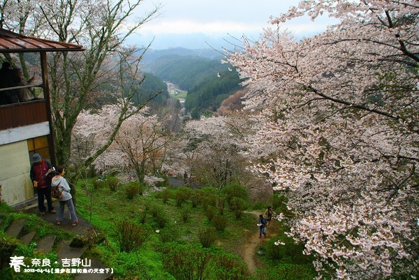 吉野山 (1030)