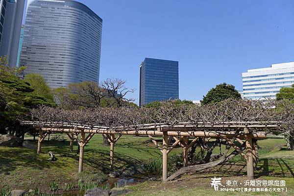 浜離宮(1013).jpg