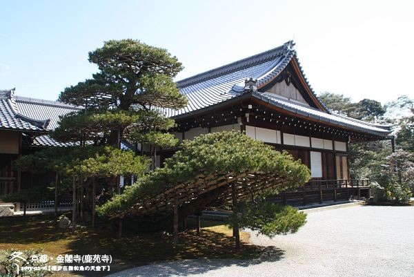 金閣寺(1021)
