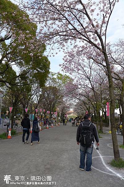 隅田公園(1004).jpg