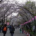 隅田公園(1008).jpg