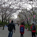 隅田公園(1010).jpg