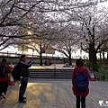 隅田公園(1015).jpg