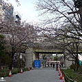 隅田公園(1014).jpg