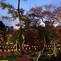 上野公園(1008).jpg