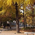 大阪城公園.jpg