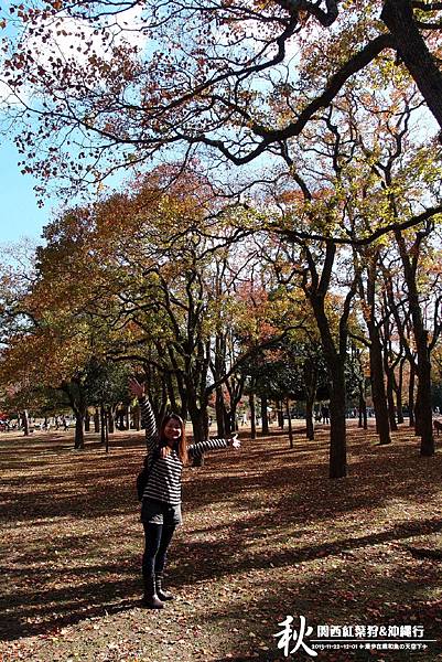 奈良公園(1020).jpg