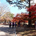奈良公園(1039).jpg