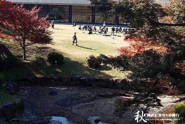 奈良公園(1073).jpg