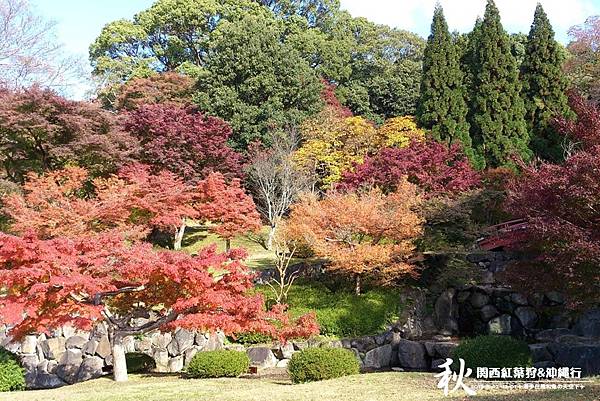 奈良公園(1085).jpg