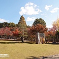 奈良公園(1095).jpg