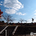 奈良公園(1116).jpg