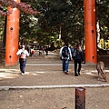 奈良公園(1136).jpg