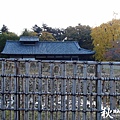 奈良公園(1148).jpg