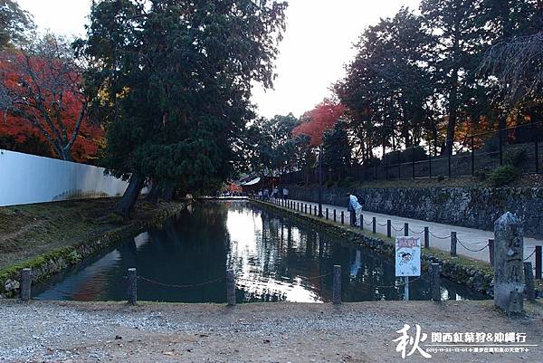 奈良公園(1152).jpg