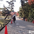 奈良公園(1154).jpg