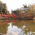 奈良公園(1162).jpg