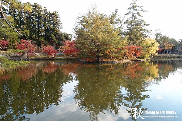 奈良公園(1163).jpg