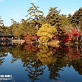 奈良公園(1170).jpg