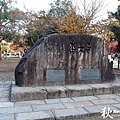 奈良公園(1177).jpg