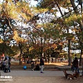 奈良公園(1190).jpg