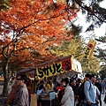 奈良公園(1189).jpg