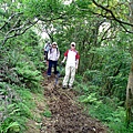 20160527竹高山古道，內寮古道 028 (複製).JPG