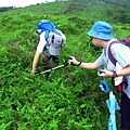 20160527竹高山古道，內寮古道 047 (複製).JPG