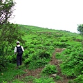 20160527竹高山古道，內寮古道 051 (複製).JPG