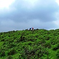 20160527竹高山古道，內寮古道 059 (複製).JPG