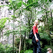 8.Excursion-rainforest 8.Excursion-rainforest