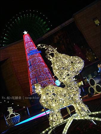 20131214-09.JPG