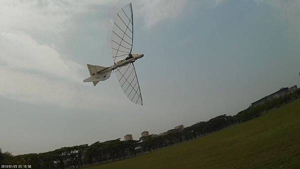 撲翼機 ornithopter 