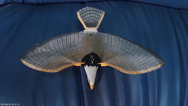 電動吊飛老鷹玩具 Flying Eagle Toy 